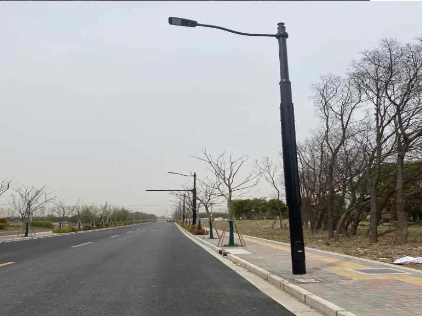 平阴县上海综合杆 太阳能路灯工程